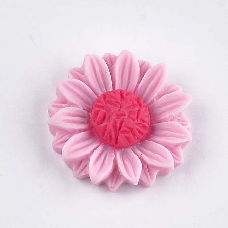 Resin Cabochons CRES-T010-59G-1