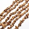 Natural Picture Jasper Chip Bead Strands, 5~8x5~8mm, Hole: 1mm, about 31.5 inch