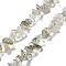 Natural Rutilated Quartz Beads Strands, Chip, 1~8x5~17x5~8mm, Hole: 0.9~1mm, 30.31~31.50''(77~80cm)