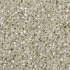 MIYUKI Round Rocailles Beads SEED-JP0010-RR1901-3