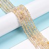 Natural Gold Rutilated Quartz Beads Strands G-C009-C04-2