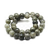 Natural Labradorite Bead Strands X-G-P256-01-4mm-2