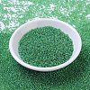 MIYUKI Round Rocailles Beads SEED-JP0008-RR0179L-2