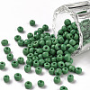 6/0 Glass Seed Beads X1-SEED-A010-4mm-47-1