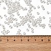 6/0 Transparent Glass Seed Beads SEED-F003-03A-07-4