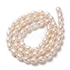 Natural Cultured Freshwater Pearl Beads Strands PEAR-L033-66-01-3