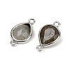 Natural Labradorite Faceted Connector Charms G-L514-048G-05-2