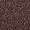TOHO Round Seed Beads SEED-XTR11-1850-2