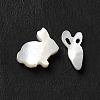 Natural Freshwater Shell Beads Sets BSHE-E026-10-3