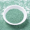 MIYUKI Delica Beads SEED-MY11-DB2125-2