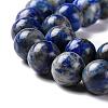 Natural Lapis Lazuli Beads Strands G-G099-8mm-7B-3