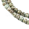 Natural Maifanite/Maifan Stone Beads Strands G-P451-01C-E-4