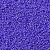 MIYUKI Delica Beads X-SEED-J020-DB0661-3