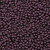 12/0 FGB Grade A Round Glass Seed Beads SEED-N001-A-1049-2