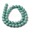 Natural Amazonite Bead Strands G-P204-02-10mm-4