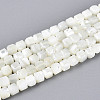 Natural Trochid Shell/Trochus Shell Beads Strands SSHEL-N041-04B-01-1