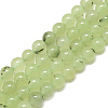 Natural Prehnite Beads Strands G-S300-118-10mm-1