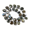 Natural Labradorite Beads Strands G-Z040-A03-01-2