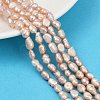 Natural Cultured Freshwater Pearl Beads Strands PEAR-P064-20H-02D-1