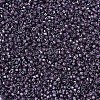MIYUKI Delica Beads X-SEED-J020-DB0279-3