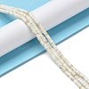 Natural Howlite Beads Strands G-E604-A01-C-2