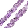 Natural Amethyst Beads Strands G-Z152-B01-02-2