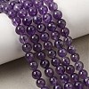 Natural Amethyst Beads Strands G-S333-6mm-020-9