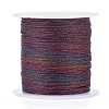 Polyester Braided Metallic Thread OCOR-I007-B-25-1