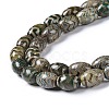 Tibetan Style dZi Beads Strands TDZI-E005-01C-3