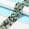 Natural Fuchsite Beads Strands G-K285-40A-1-2