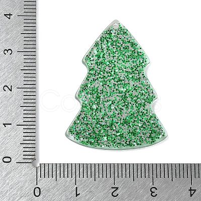 Acrylic Cabochons OACR-I023-02C-1