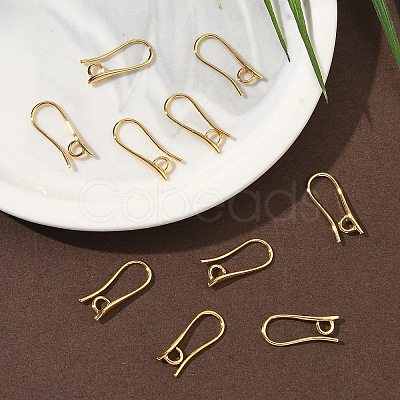SHEGRACE Brass Earring Hooks XGR0003G-42G-1