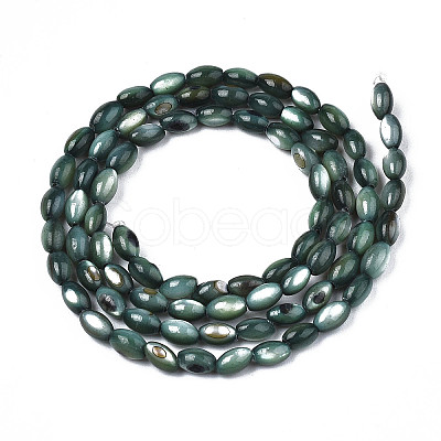 Natural Freshwater Shell Beads Strands X-SHEL-N003-25-B01-1