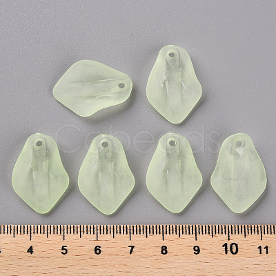 Transparent Frosted Acrylic Pendants MACR-S371-03A-728-1