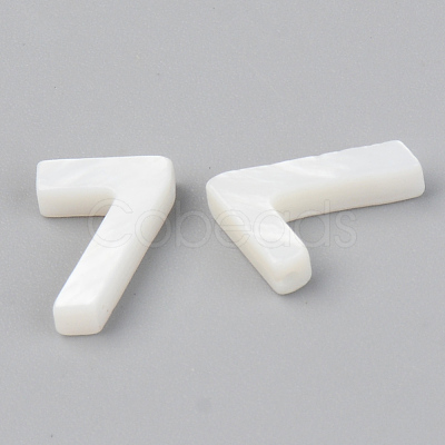 Natural Freshwater Shell Beads X-SSHEL-R048-005-07-1