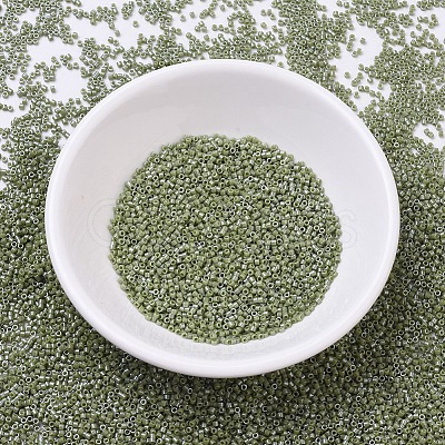 MIYUKI Delica Beads X-SEED-J020-DB0263-1