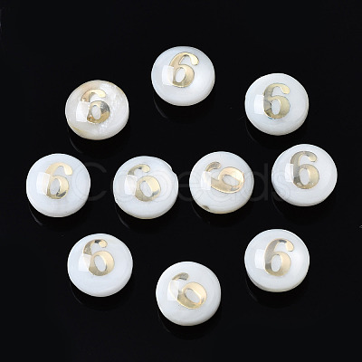 Natural Freshwater Shell Beads SHEL-N003-20-06-1