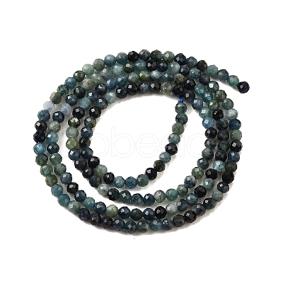 Natural Blue Tourmaline Beads Strands G-G259-D10-2mm-1
