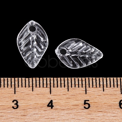 Transparent Acrylic Charms TACR-G050-02D-1