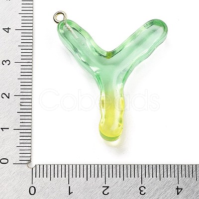Resin Pendant FIND-Q107-01Y-04-1