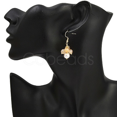 6 Pairs Natural Gemstone Dangle Earrings EJEW-JE06622-1