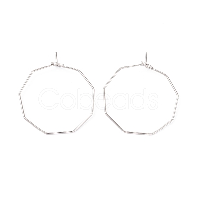 316 Stainless Steel Hoop Earrings Findings STAS-C029-02P-1