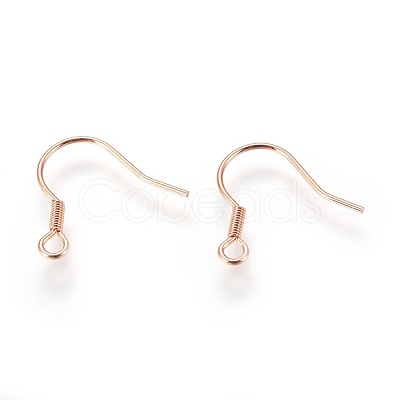 304 Stainless Steel Earrings Hooks X-STAS-P227-06RG-1