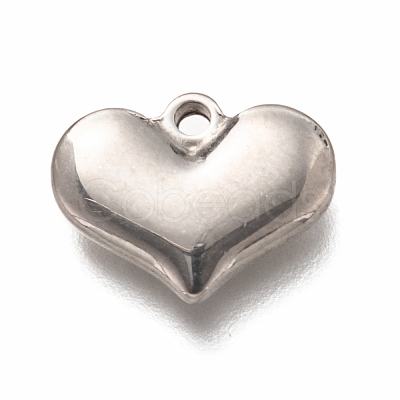 Non-Tarnish 304 Stainless Steel Charms STAS-H126-06P-1