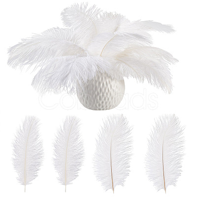 20Pcs 2 Styles Ostrich Feather Costume Accessories FIND-TA0005-96-1
