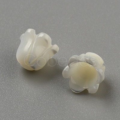 Natural Sea Shell Carved Beads SHEL-WH0001-021A-1