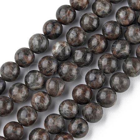 Natural Labradorite Beads Strands X-G-G0003-C03-6mm-1