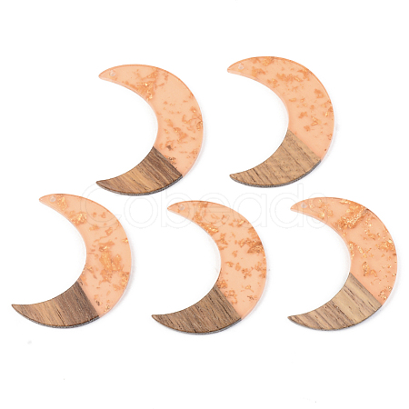 Transparent Resin & Walnut Wood Pendants X-RESI-S389-056A-B04-1