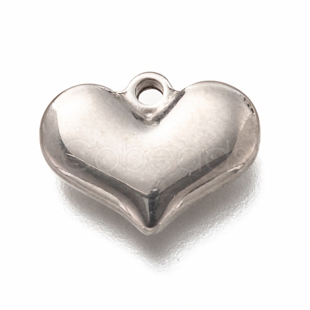 Non-Tarnish 304 Stainless Steel Charms STAS-H126-06P-1