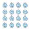 Platinum Plated Alloy Enamel Charms ENAM-S118-04C-P-2